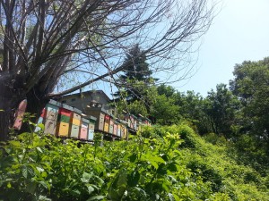 20150514_111318